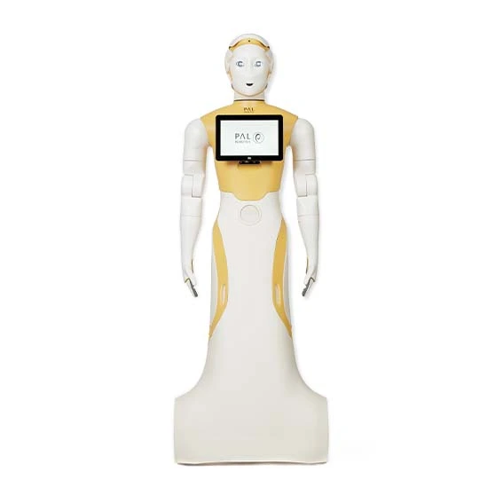 The humanoid social robot ARI