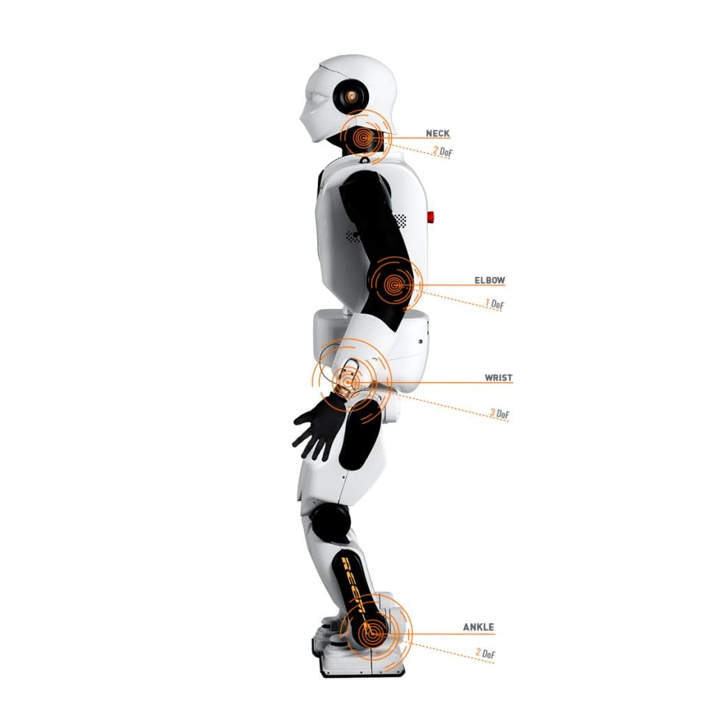 Vista lateral del robot REEM-C y de sus partes