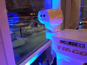 The mobile manipulator robot TIAGo watching the snow