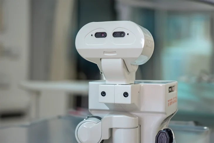 SAFE-LY Project: Improving Patient Safety with Healthcare Robotics