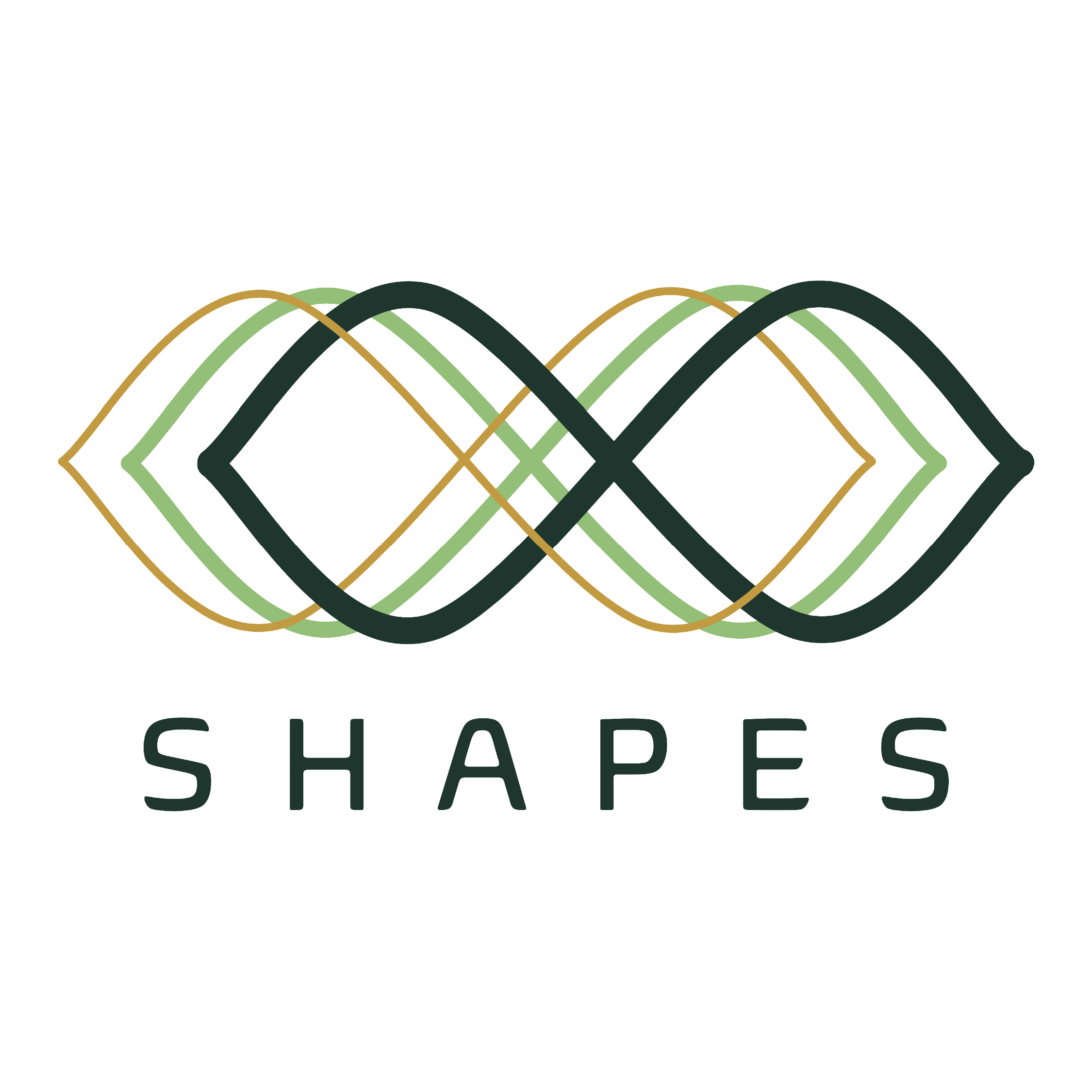 SHAPES
