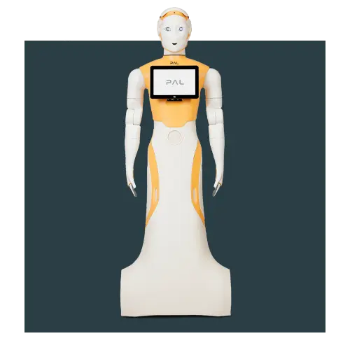 El robot de IA y social ARI