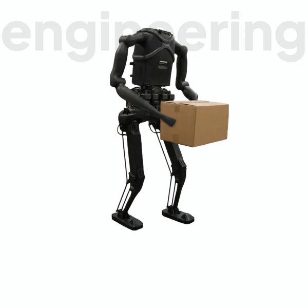 The legged platform and humanoid robot KANGAROO carrying a box